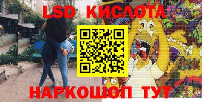 молекула духа Камышлов