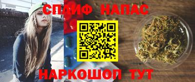 молекула духа Камышлов