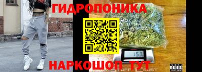 гидропоника Канаш