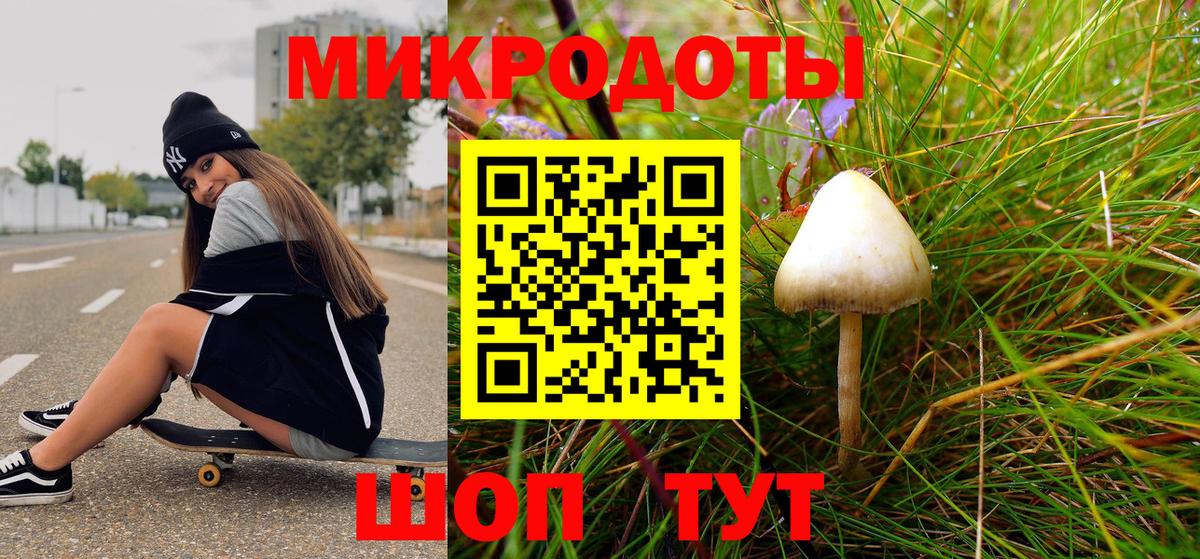 Буйнакск  Псилоцибиновые грибы MAGIC MUSHROOMS  Вход с VPN 